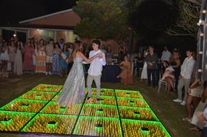 Plantas: imagem 13 de 15